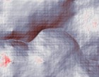 autismus mutismus