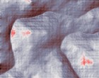 lovaas autismus