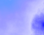 serotonin autismus