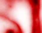 autismus online.de