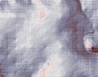 mit autismus